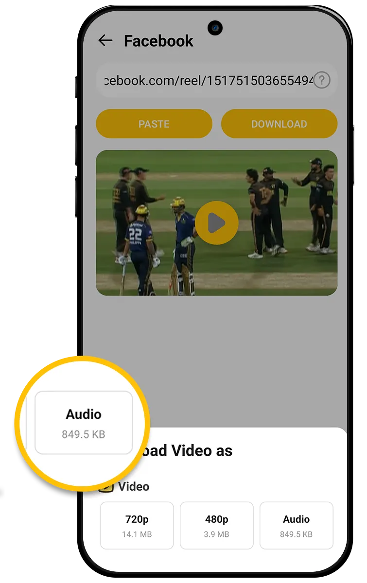 videosaver audio format preview